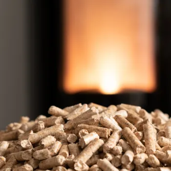 fournisseur de bois haute goulaine